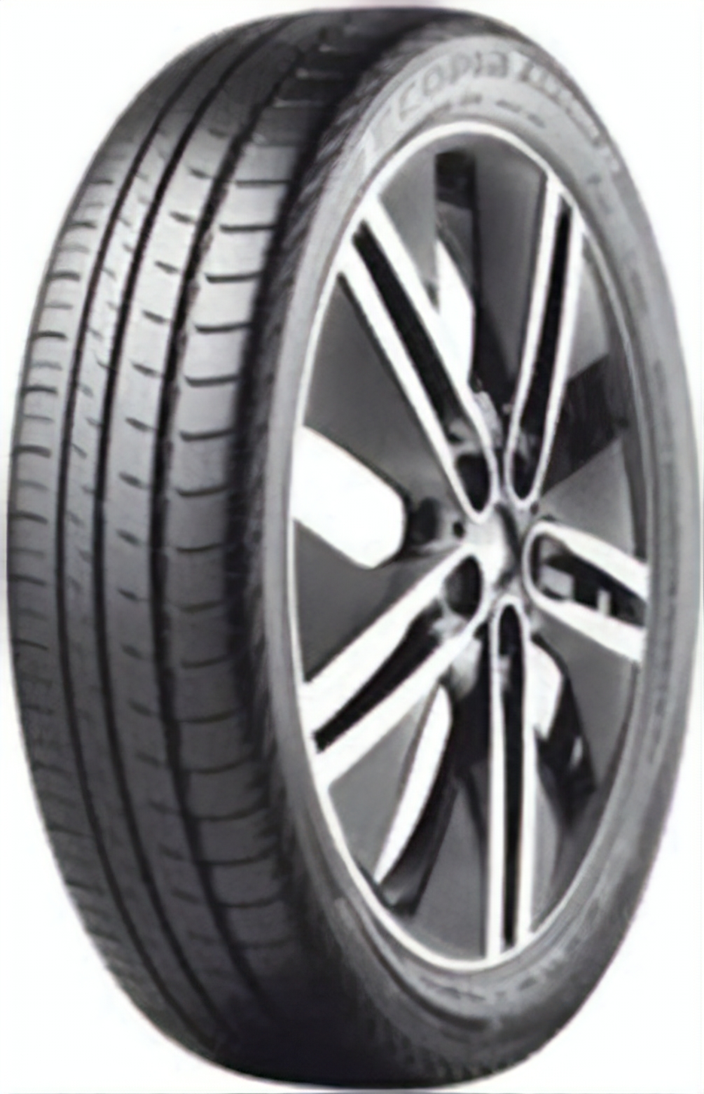 Bridgestone Ecopia EP600