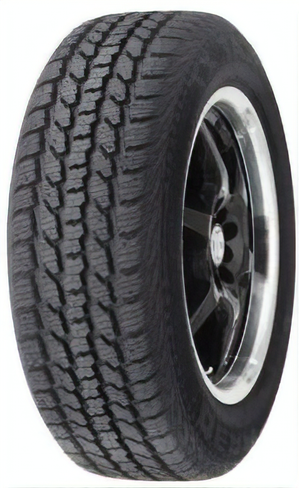 Dean Wintercat XT