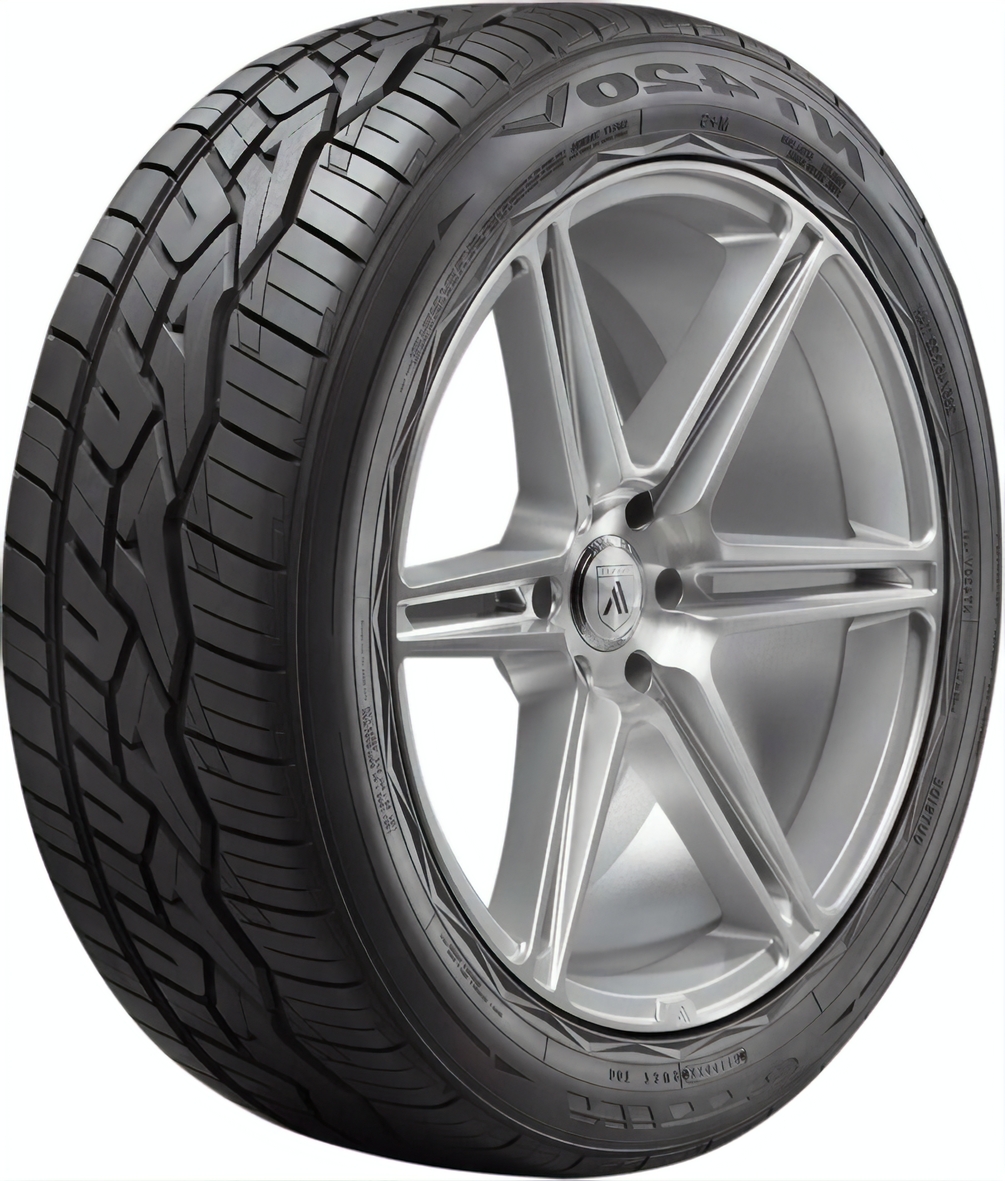 Nitto NT420V